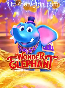WonderElephant